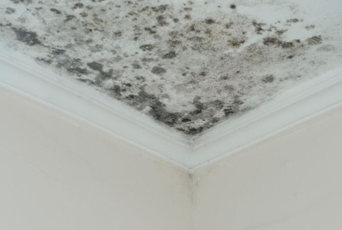 Signs your commercial roof need replacement.